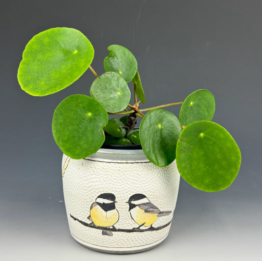 Planter - Black-capped Chickadees