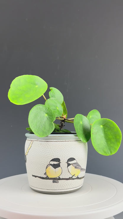 Planter - Black-capped Chickadees